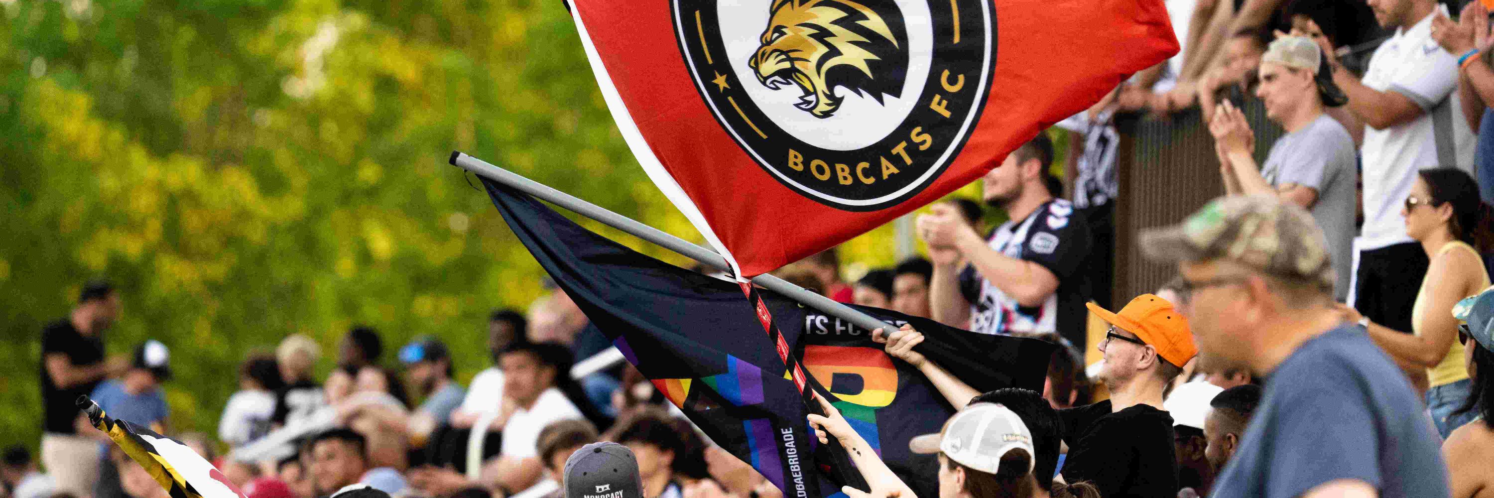 The Old Bae Brigade - Free the Bobcats 