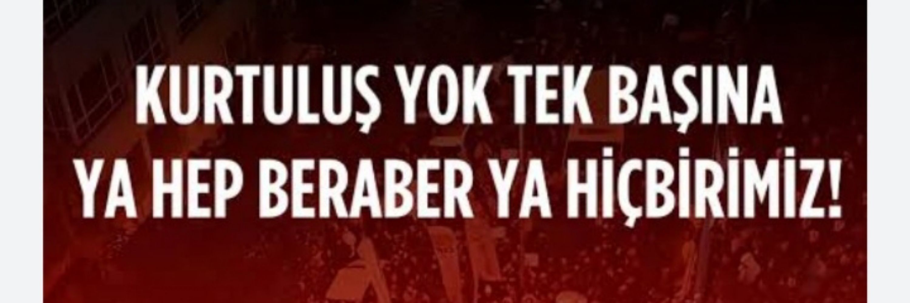 Özgürkelebek