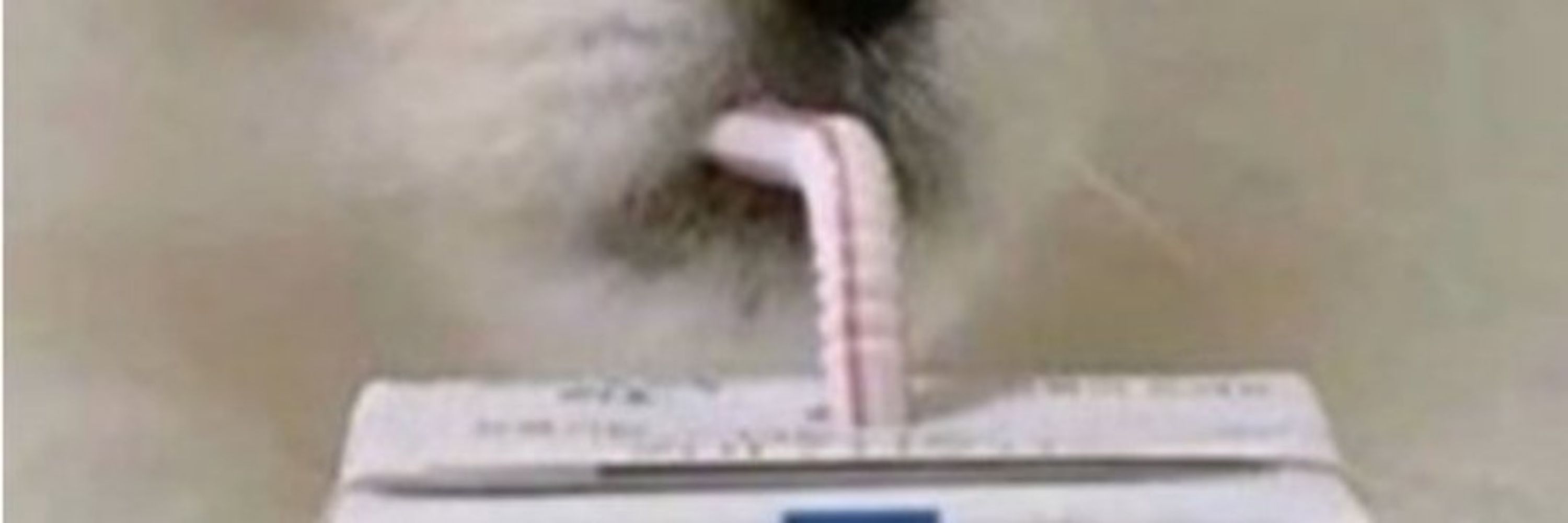 𝙃𝘼𝘾𝙆𝙀𝙍𝙈𝘼𝙉ᴴᴹ
