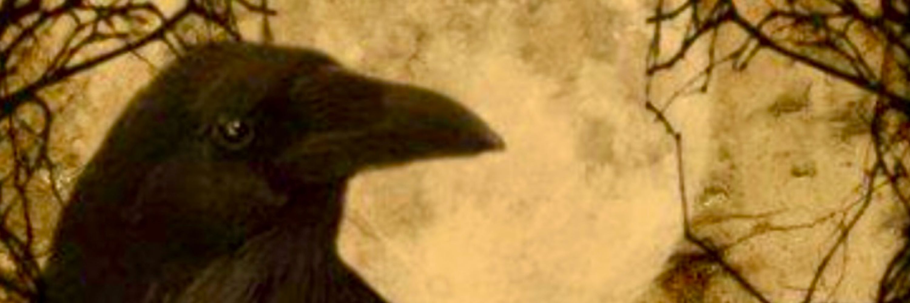 crow
