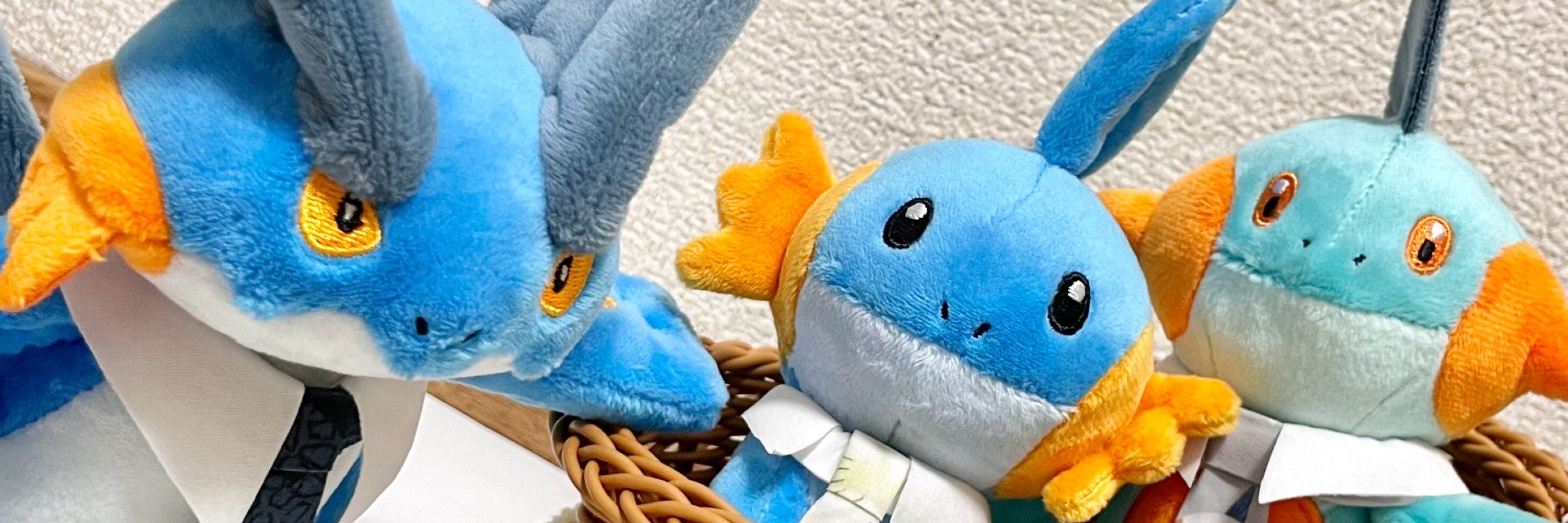 リョウはミズゴロウといっしょ