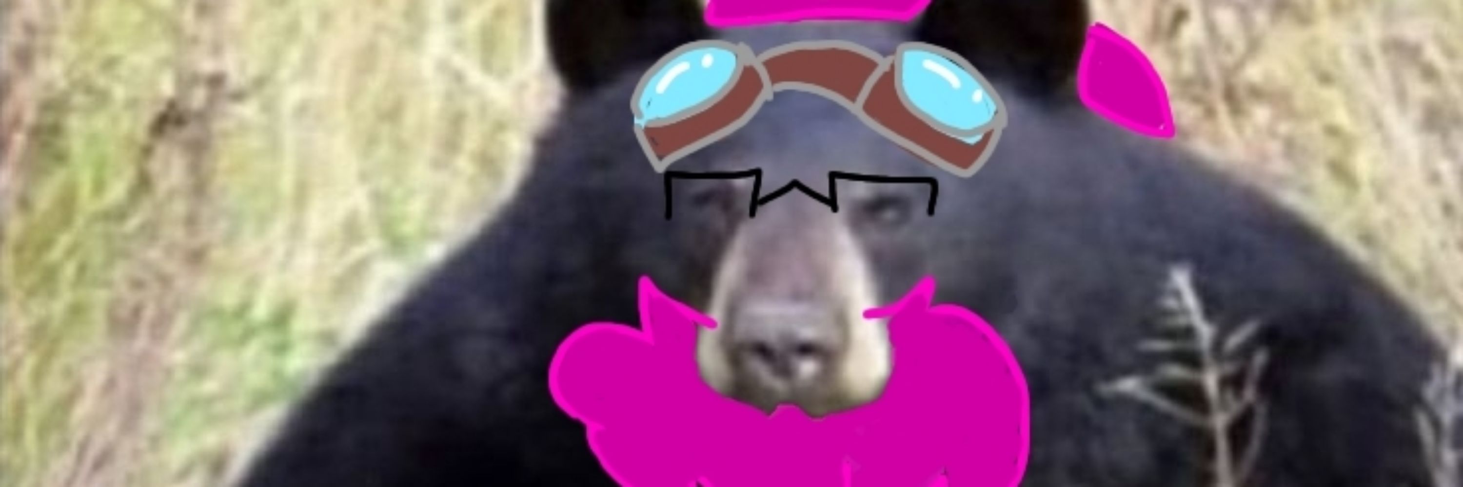 FoxxoLionbear