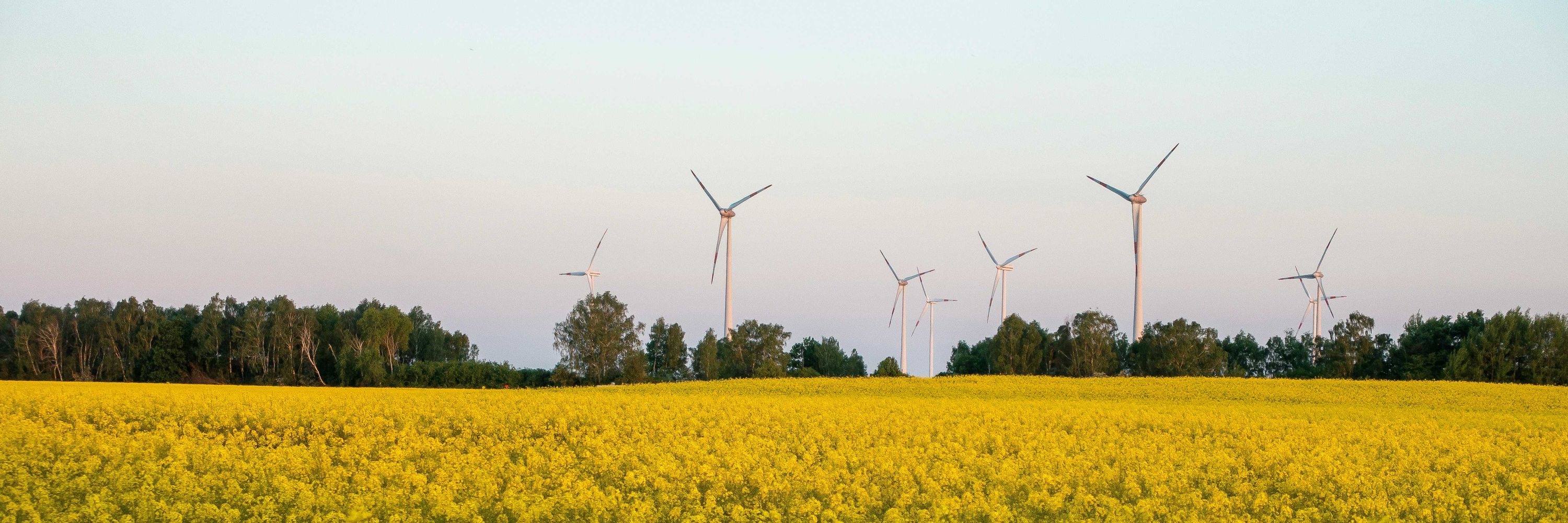 Saskatchewan Environmental Society