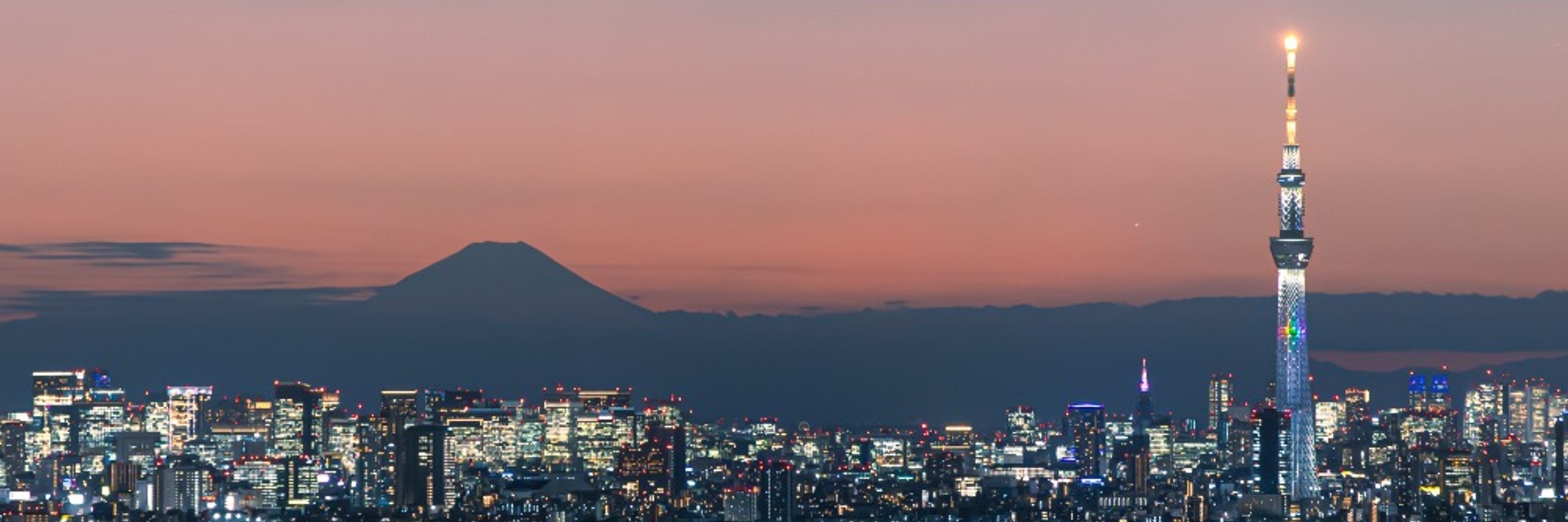 あにくす