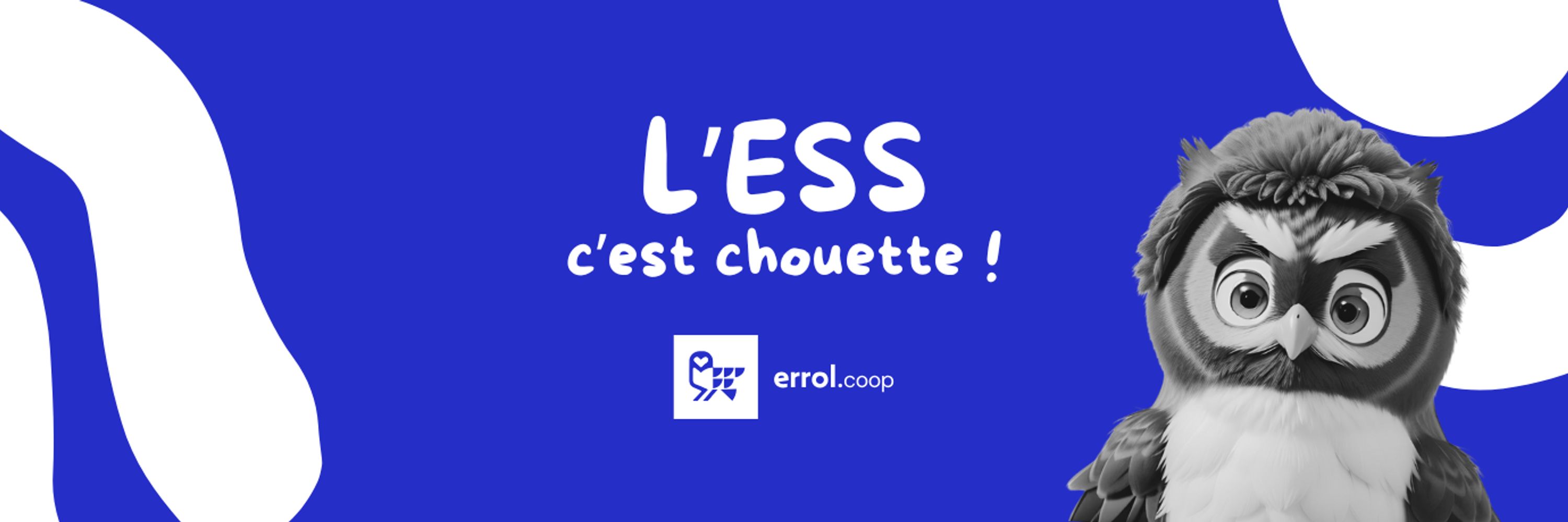 Errol.Coop