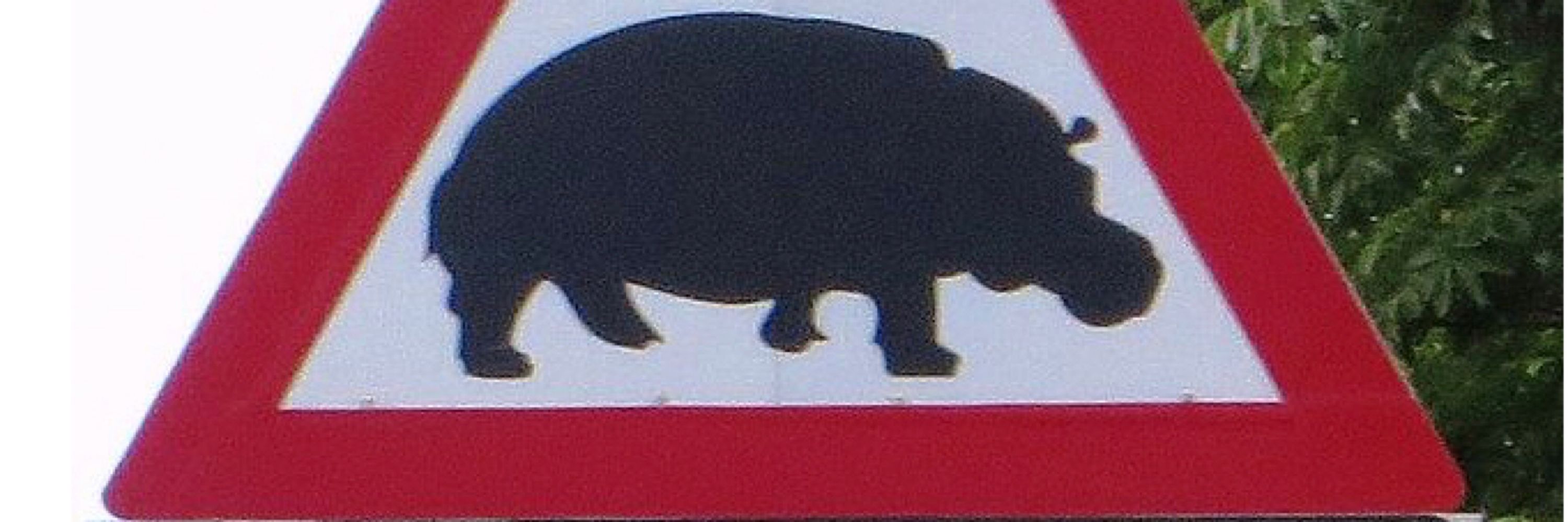 Mimojue 🦛