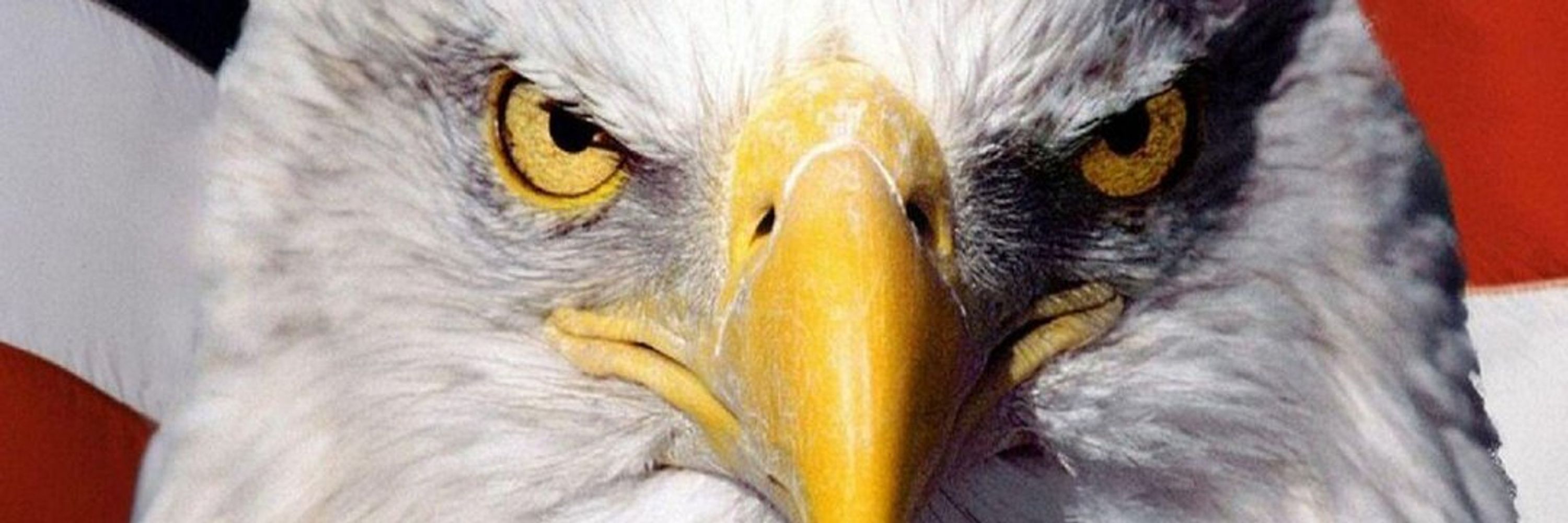 🦅Steven McStevenson🦅USA⭐⭐⭐USA StrongerTogether🦅🐺