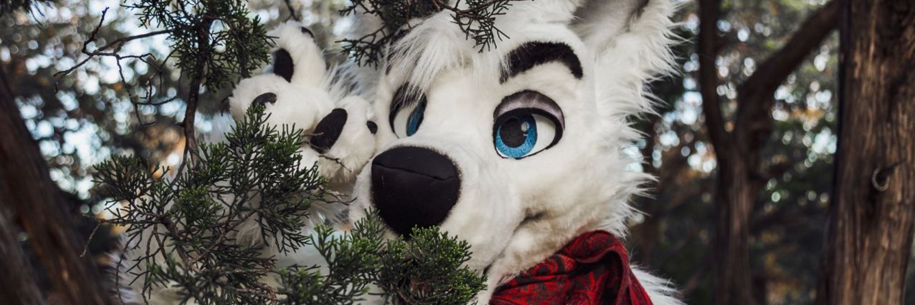 RuvikWolf 