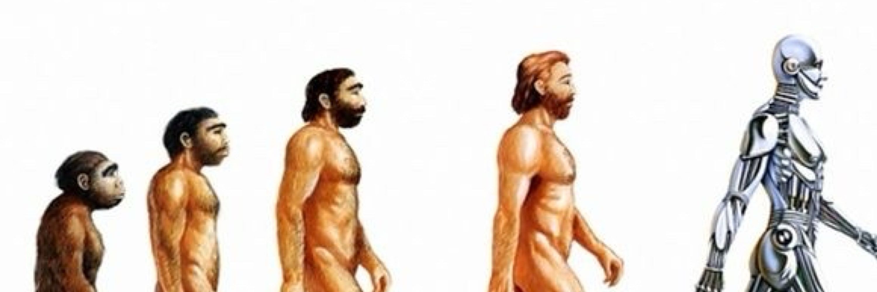 Original Human