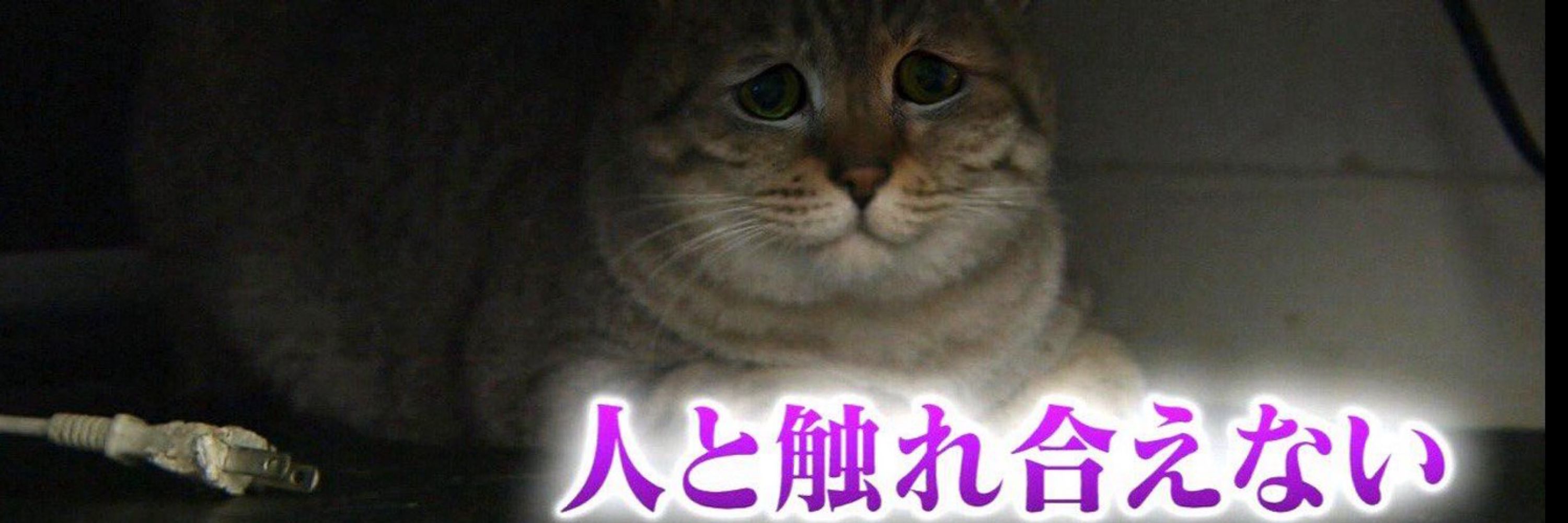 リ