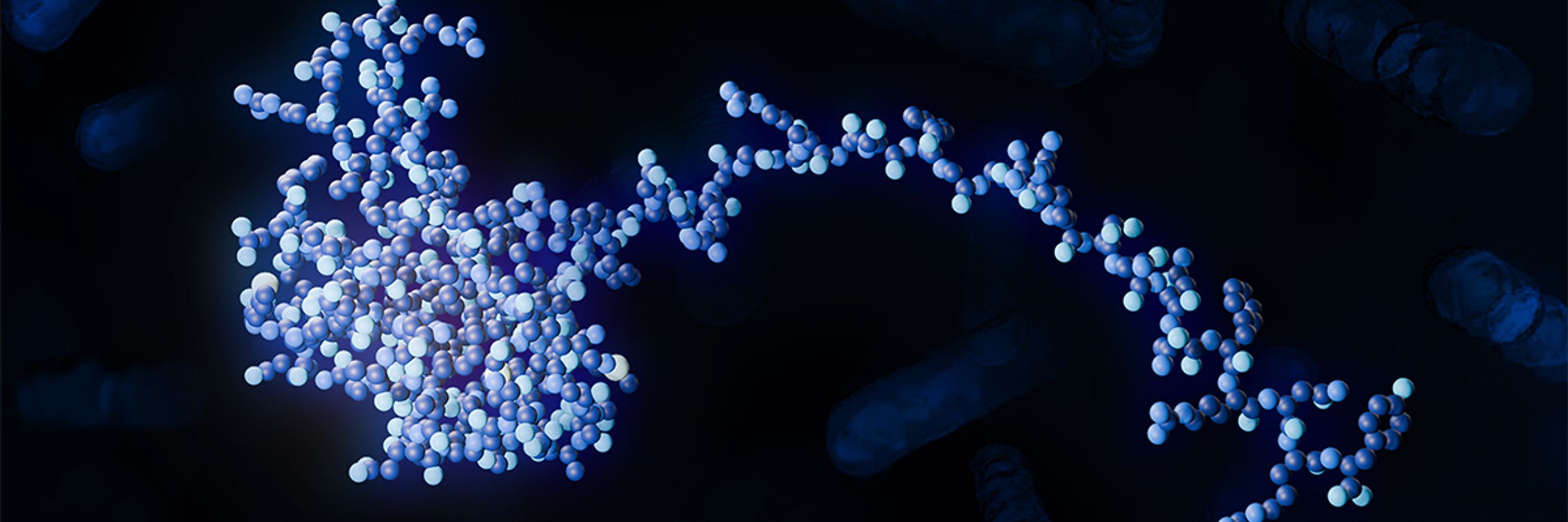 Westermann Lab