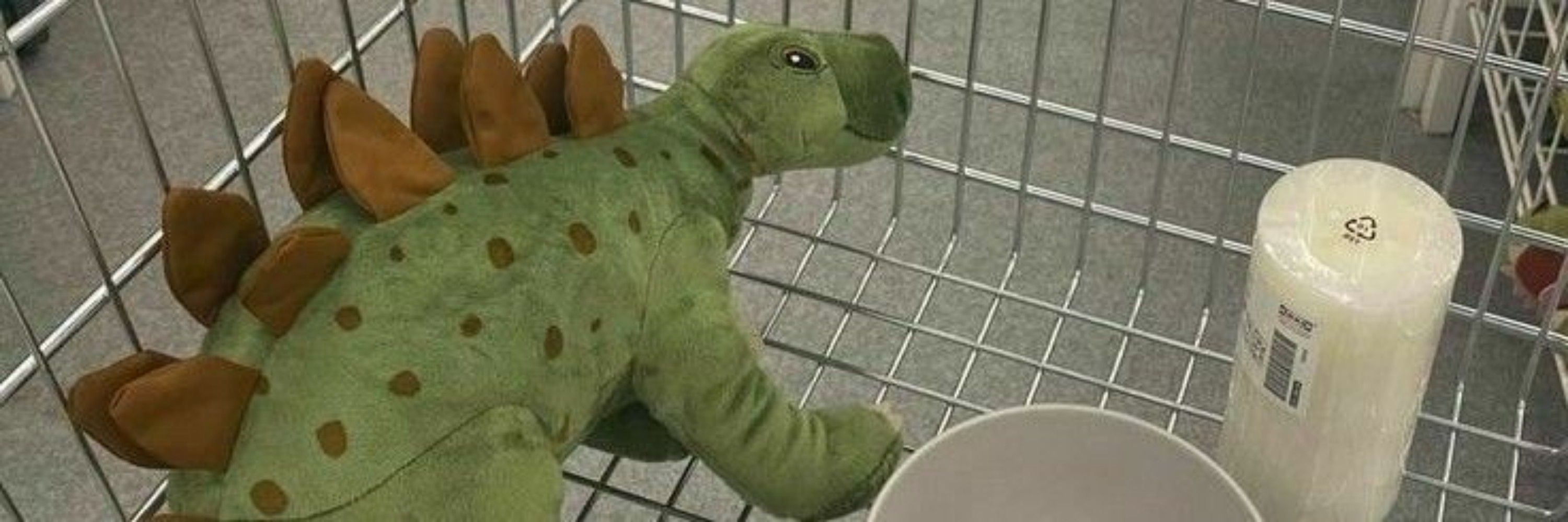 🦖﹒᪇Tsukishima Kei﹒