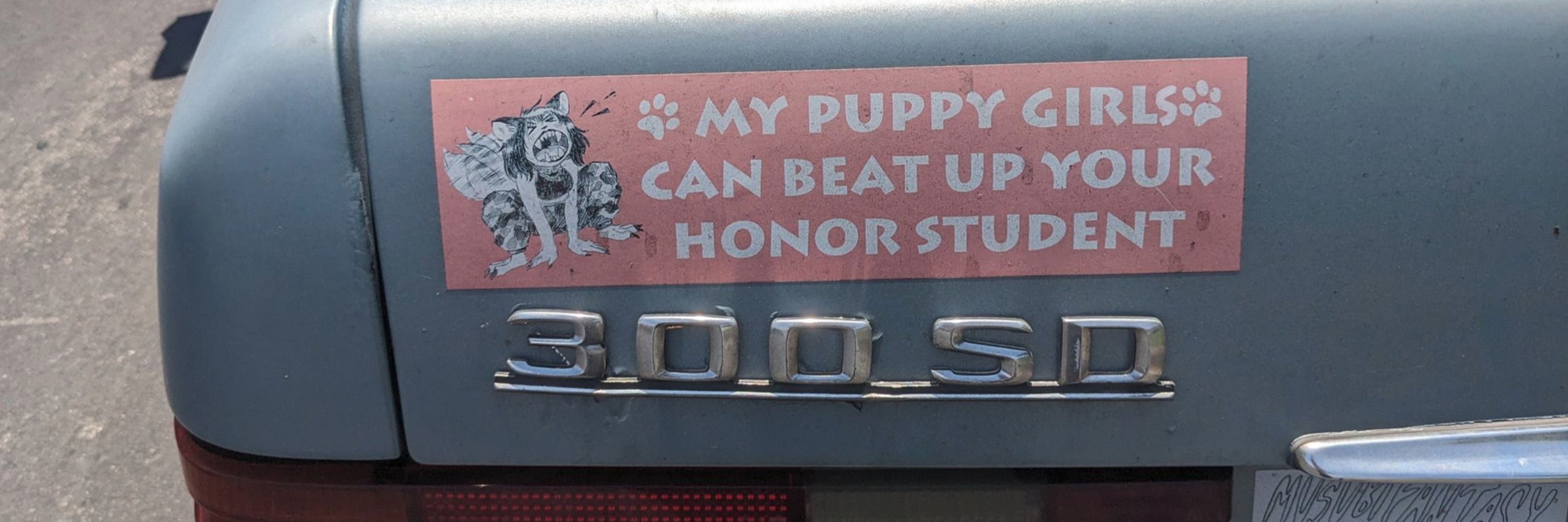 dog