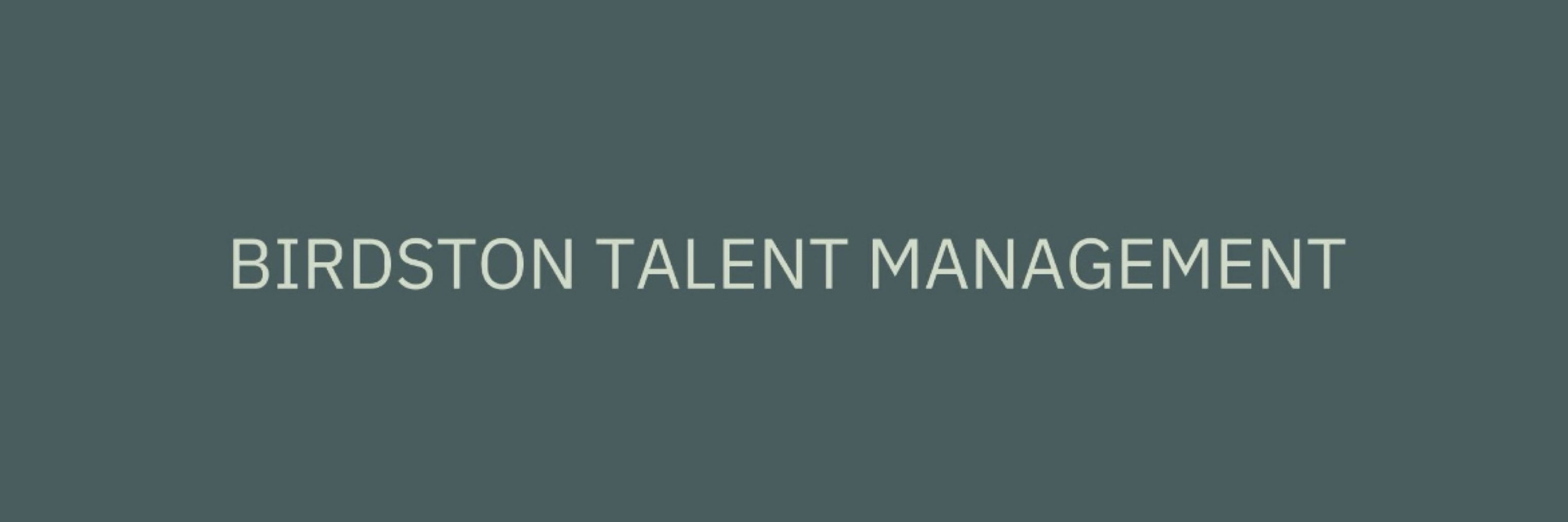 Birdston Talent Management