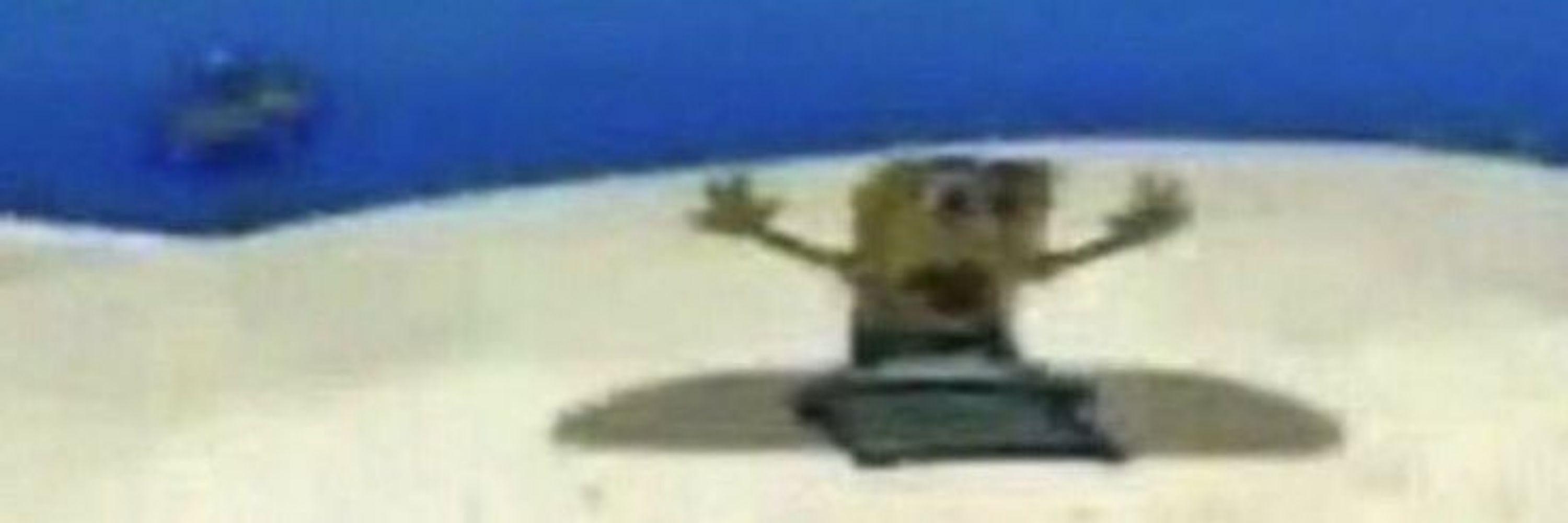⊹ ࣪ ˖Tᥴhᥙᥴιᥲ