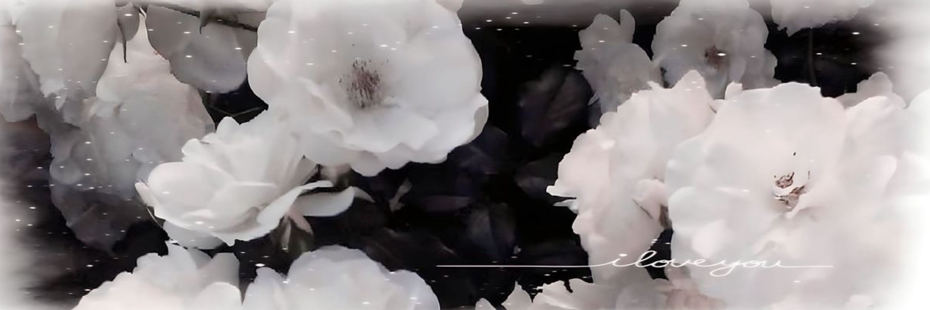 a ༊*·˚