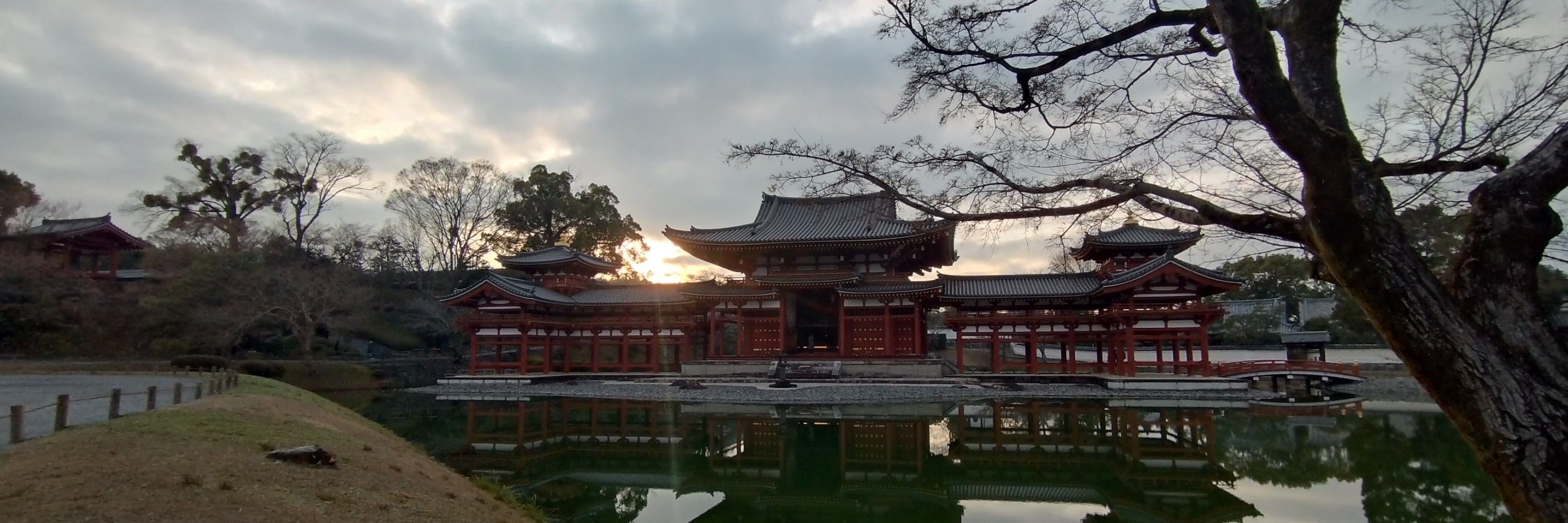 Nakana❖復帰