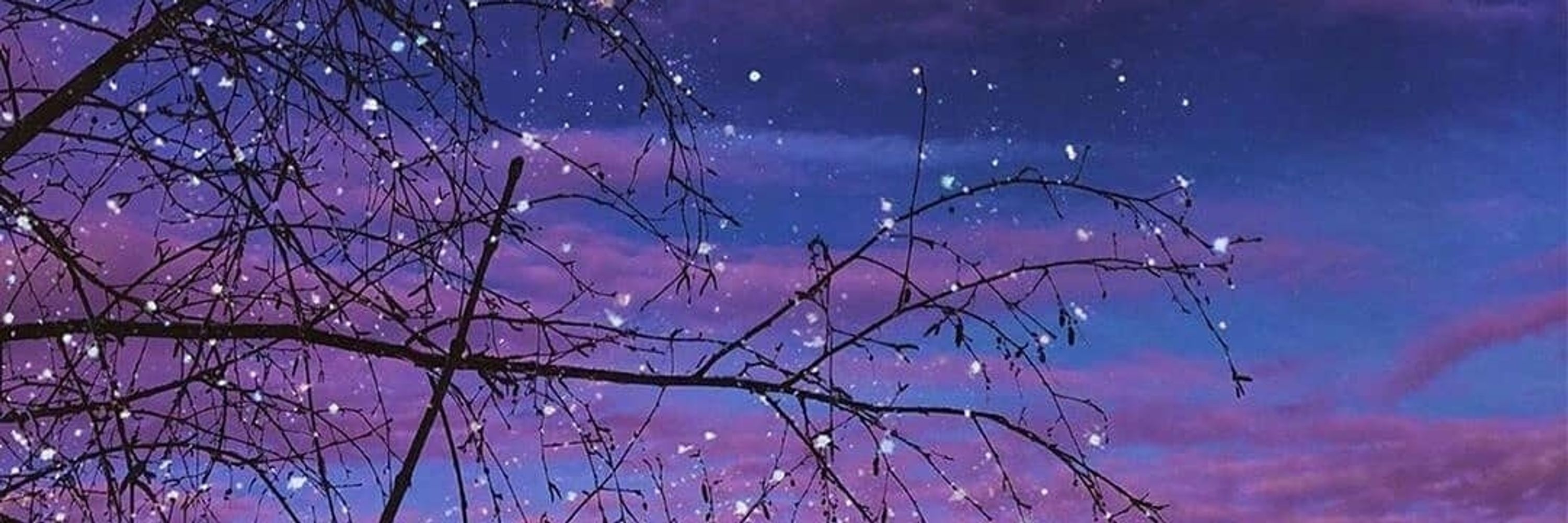 𝑴𝒂𝒈𝒊𝒂 𝑽𝒊𝒐𝒍𝒆𝒕 ★ !
