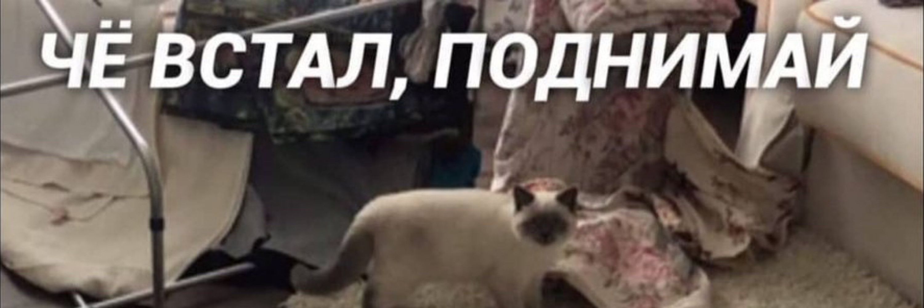 гуавокадо без косточки