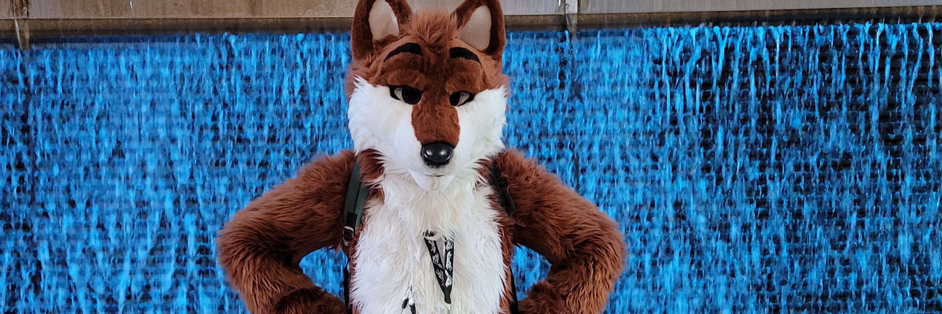 JT Wolf