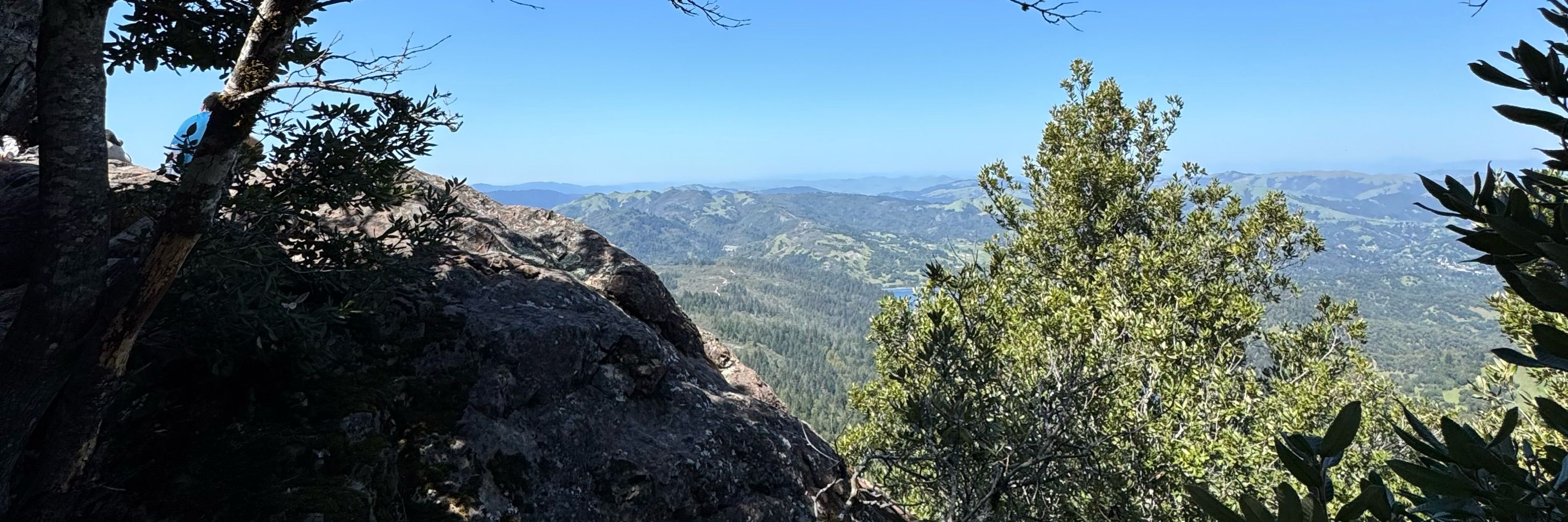 cal 🌲