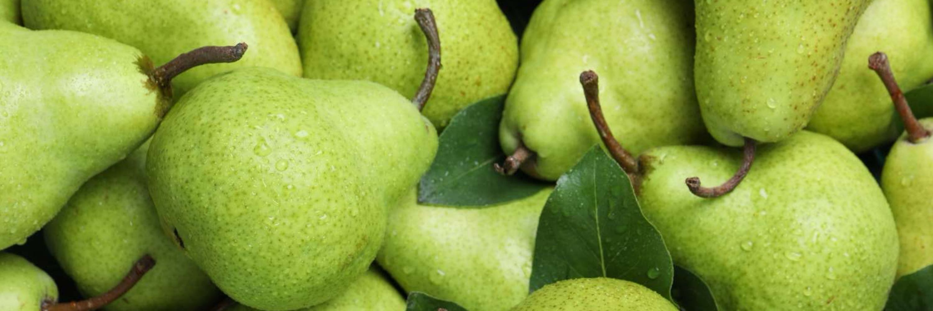 Pear 🍐