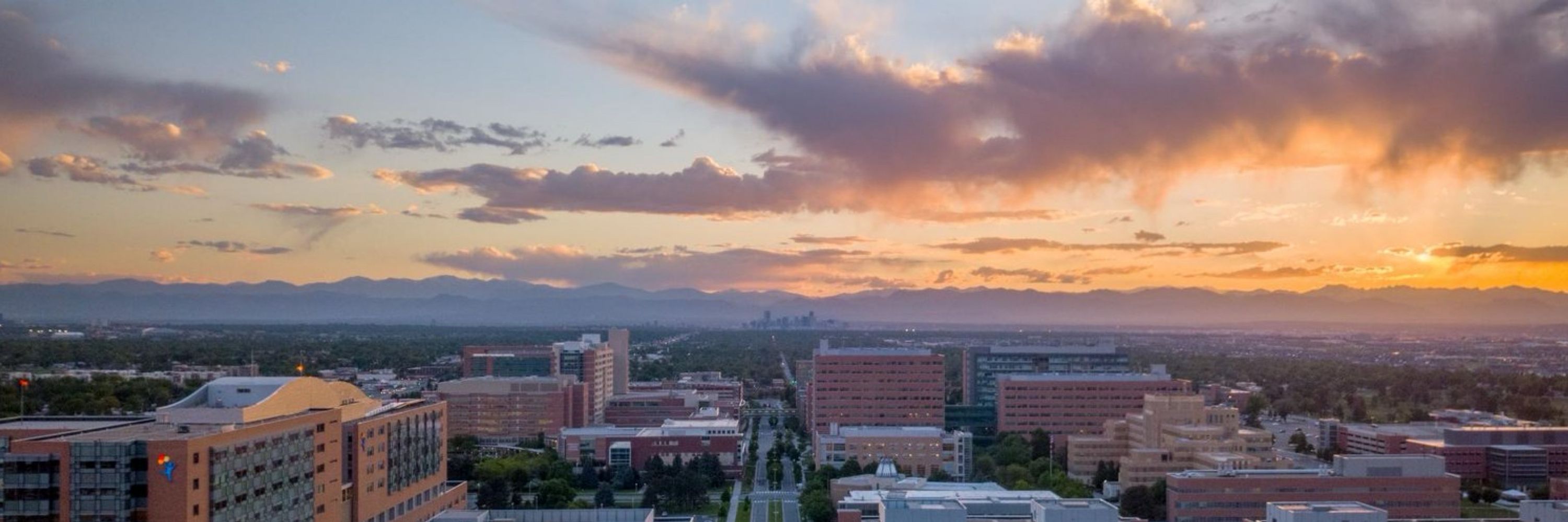 CU Endocrinology
