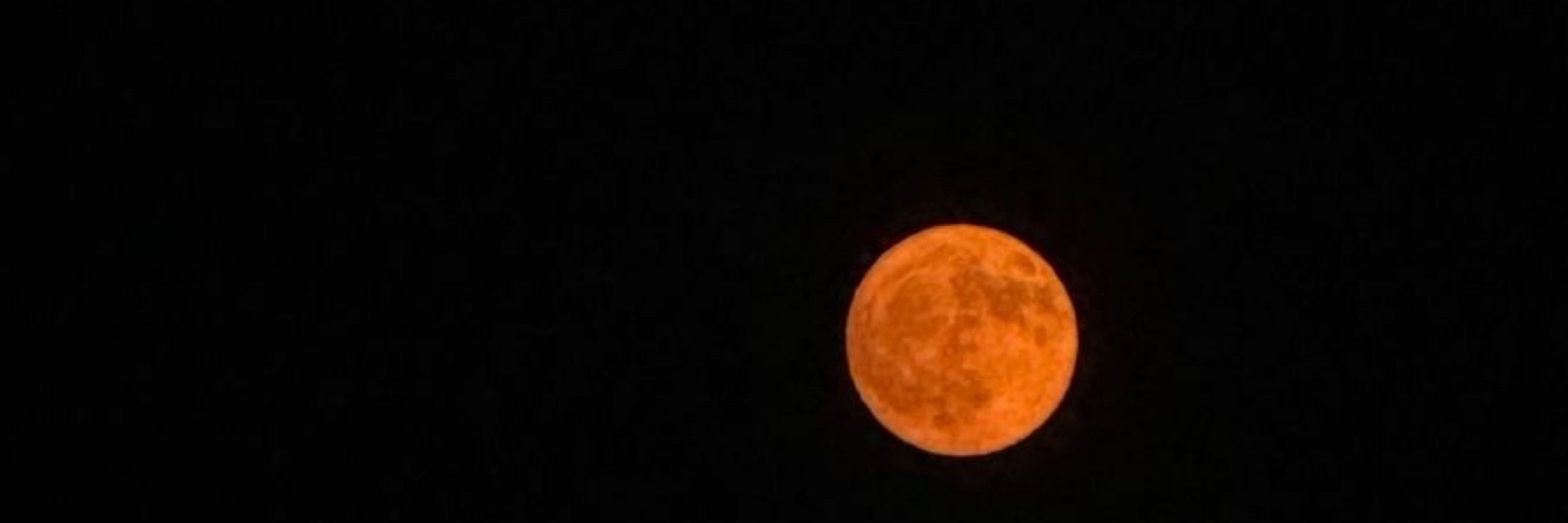 MoonMoon