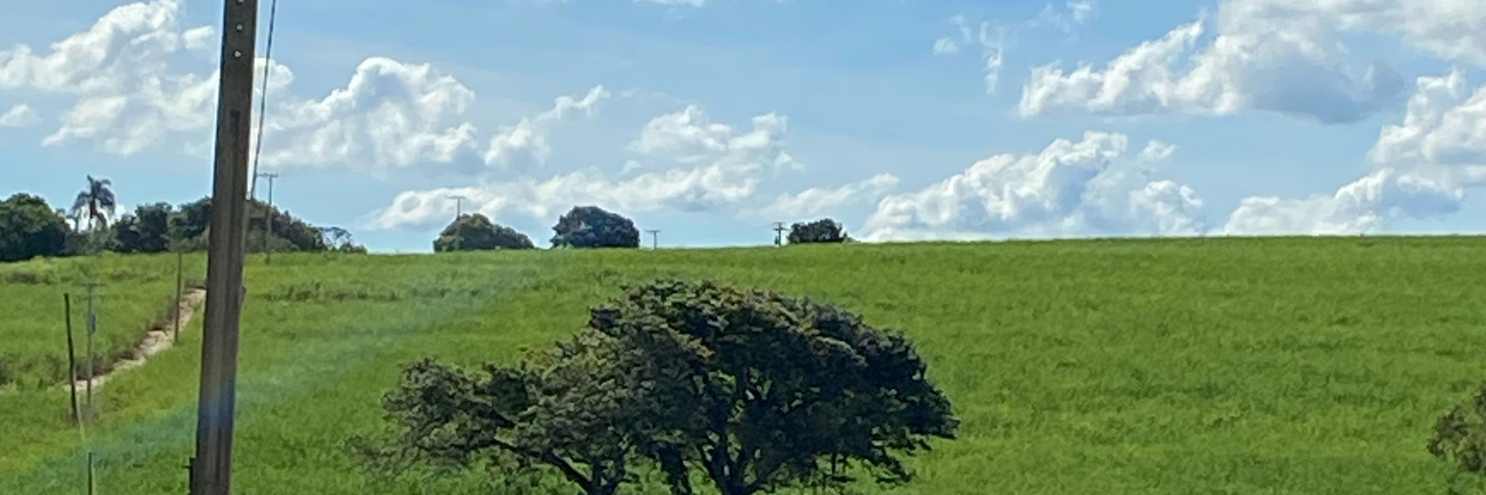 Pado🦅