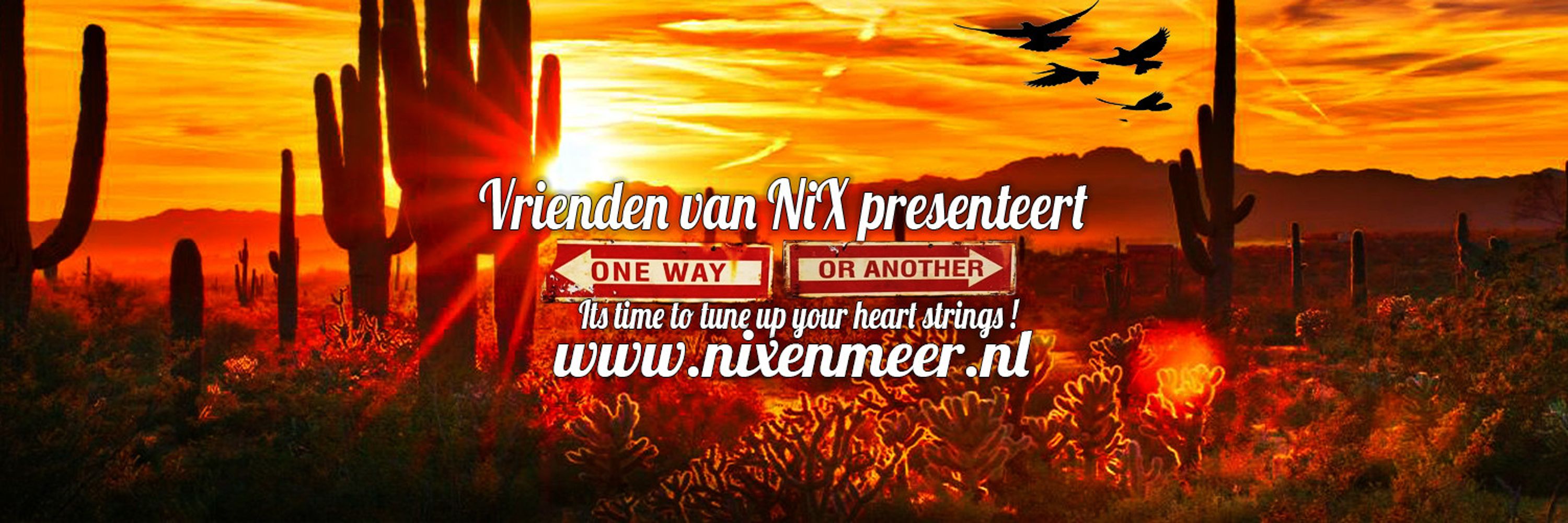 Live @ The NiX