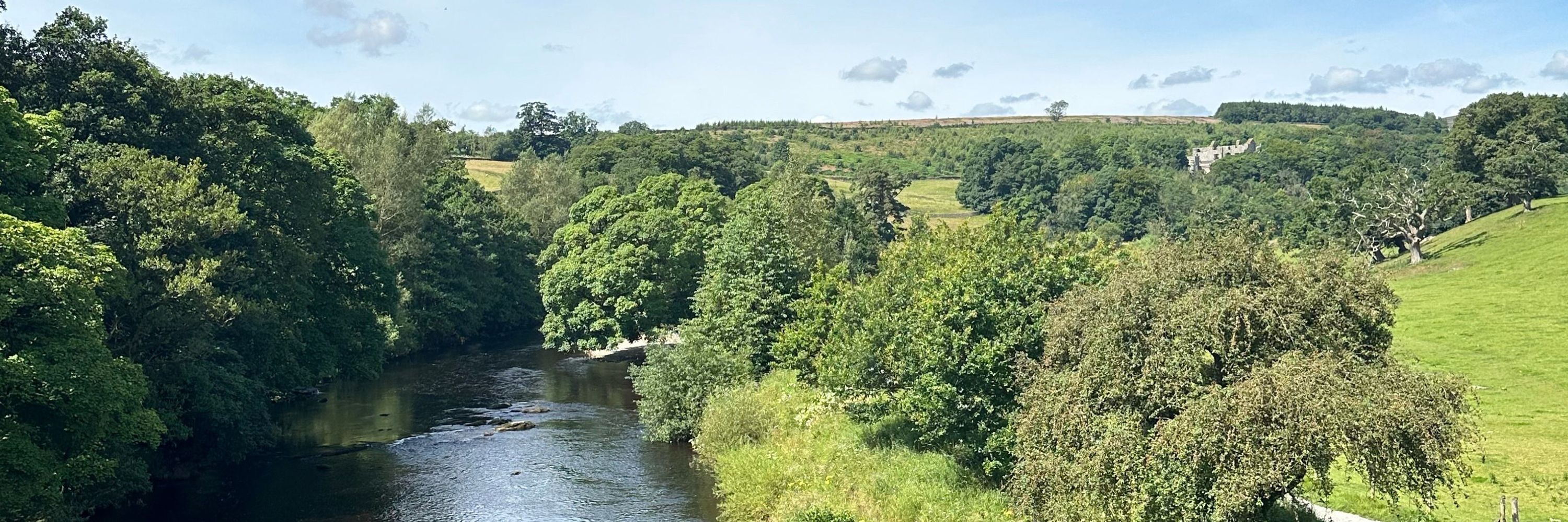 NIHR ARC Yorkshire & Humber