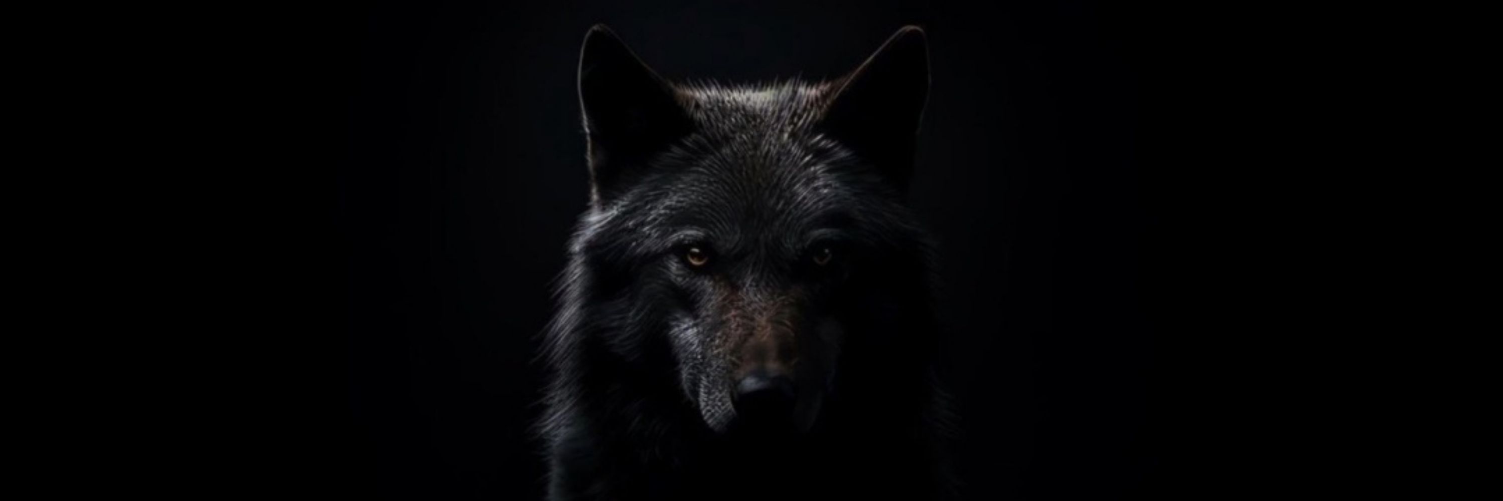 BlackWolf4