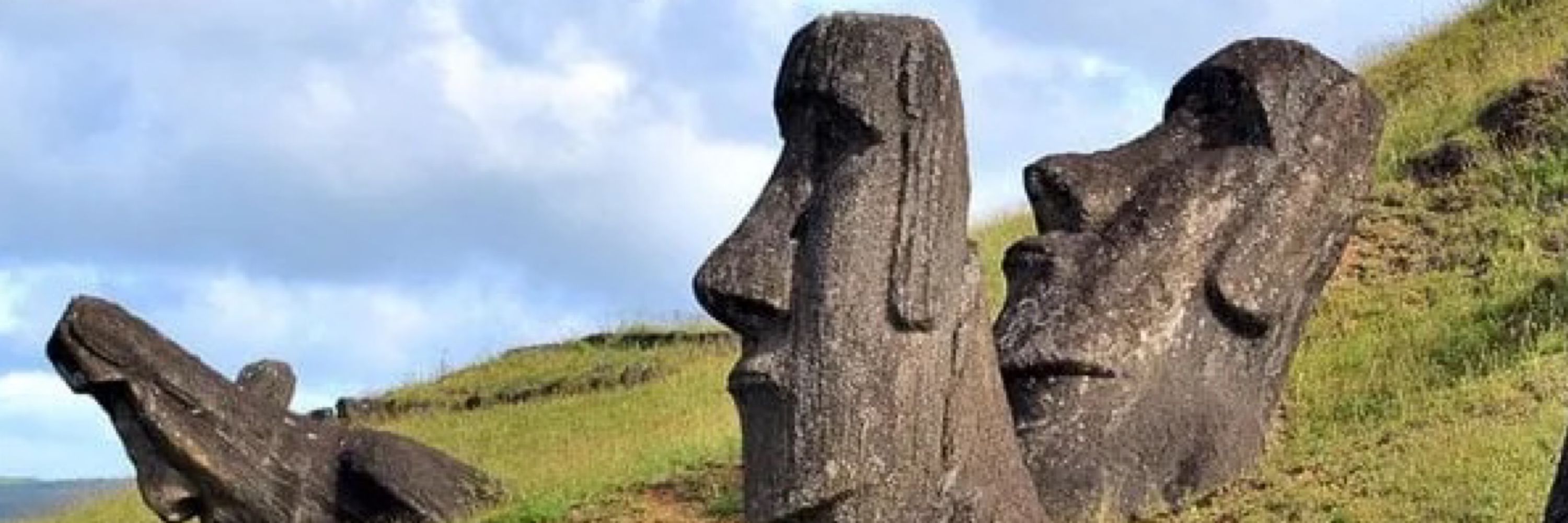 BRANiel 🗿