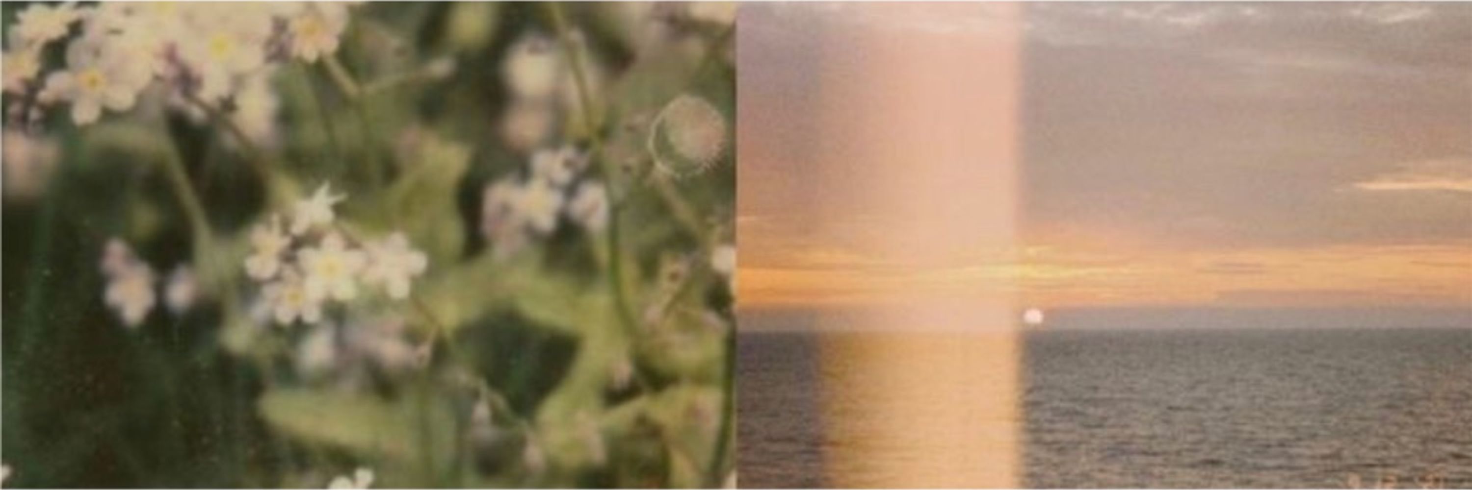 𝓂