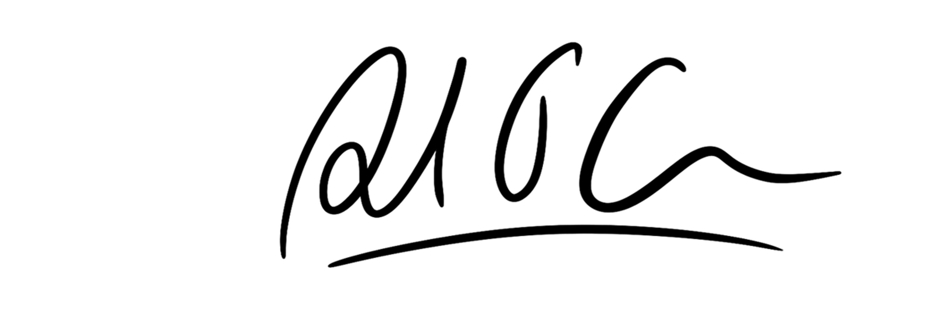 pauloconnorarts.com