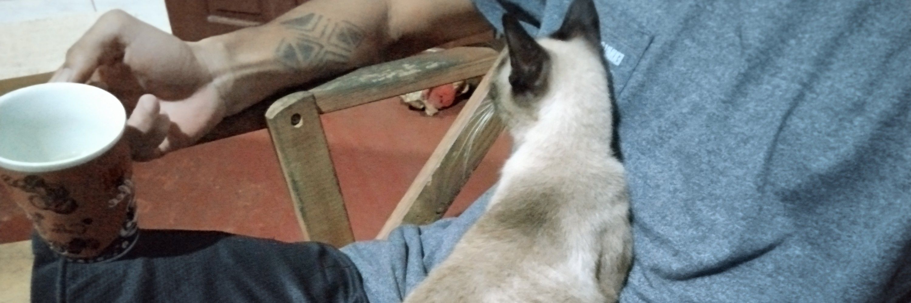 Pedro 