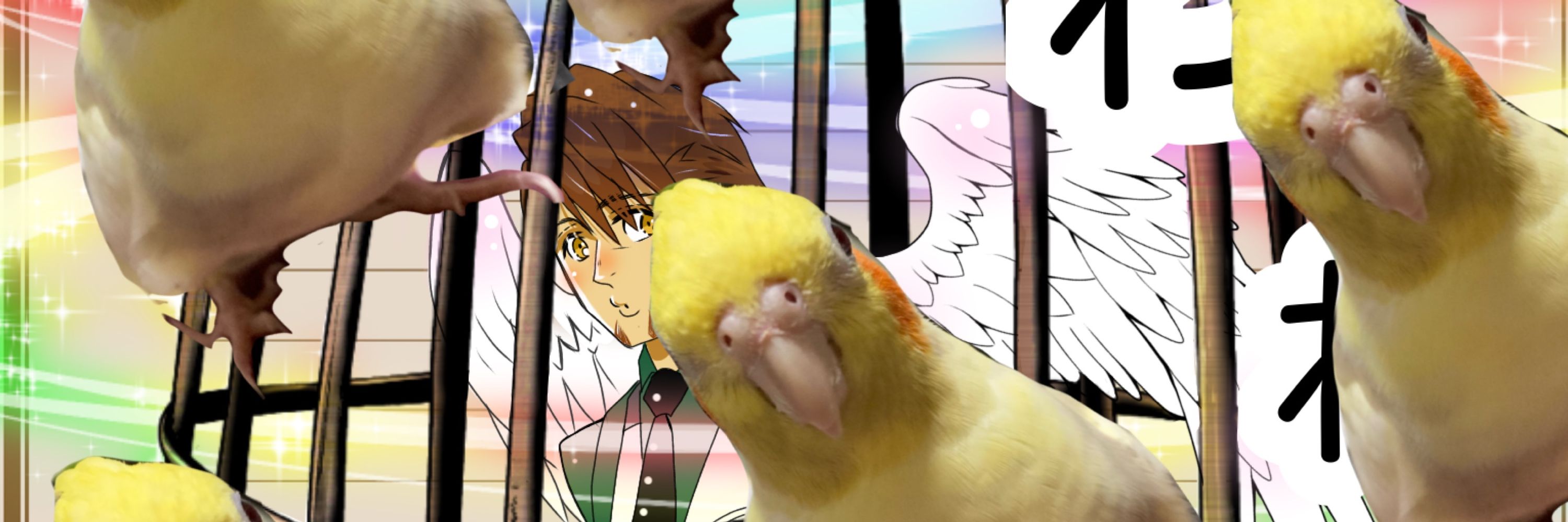 にぎっちゅ🌻