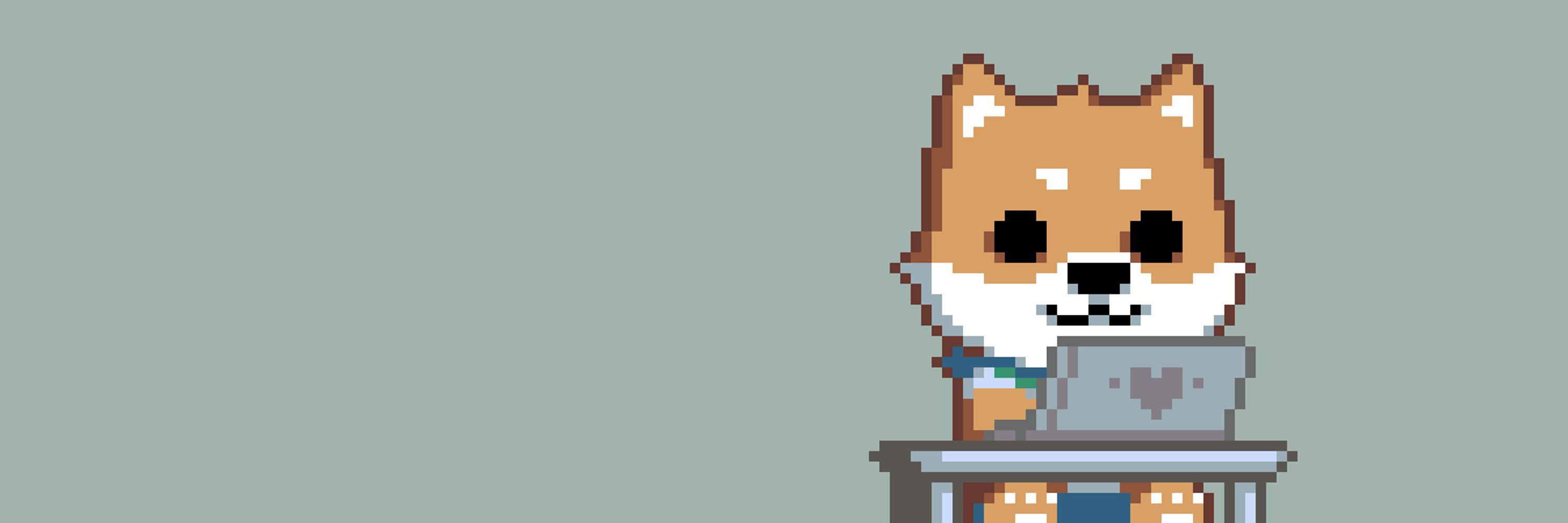 Hachi
