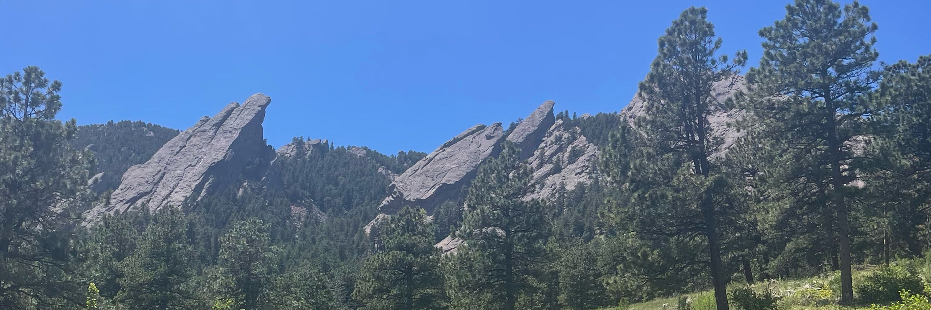 Snooshkapia