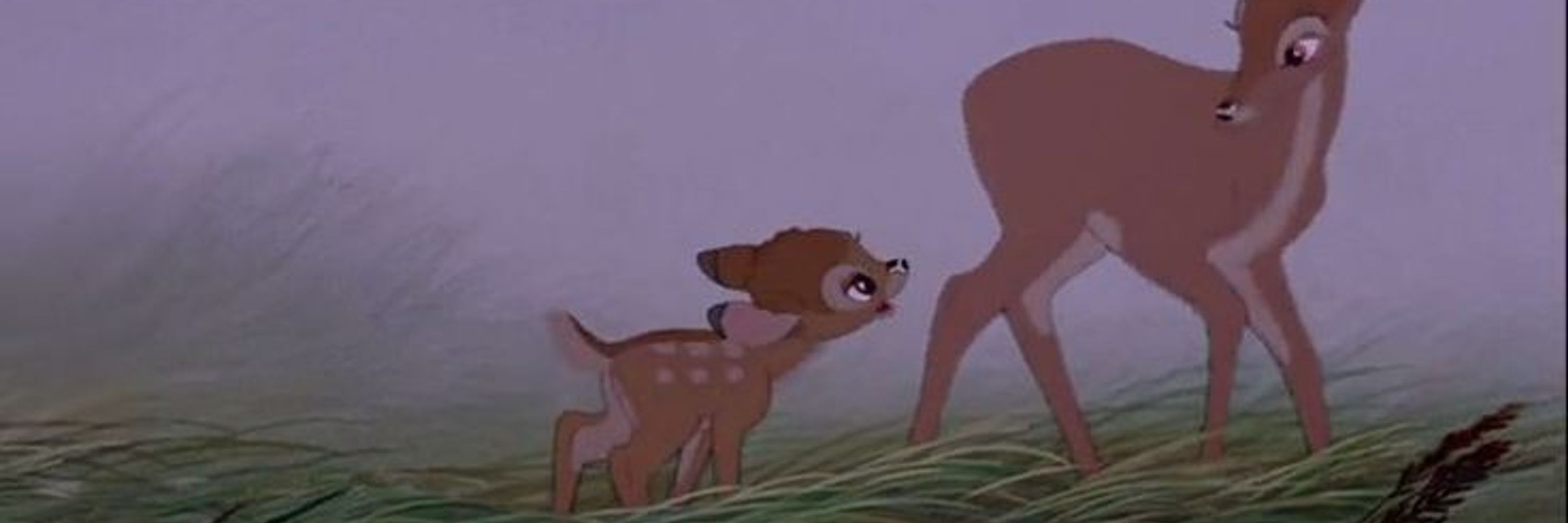 Doe Deer