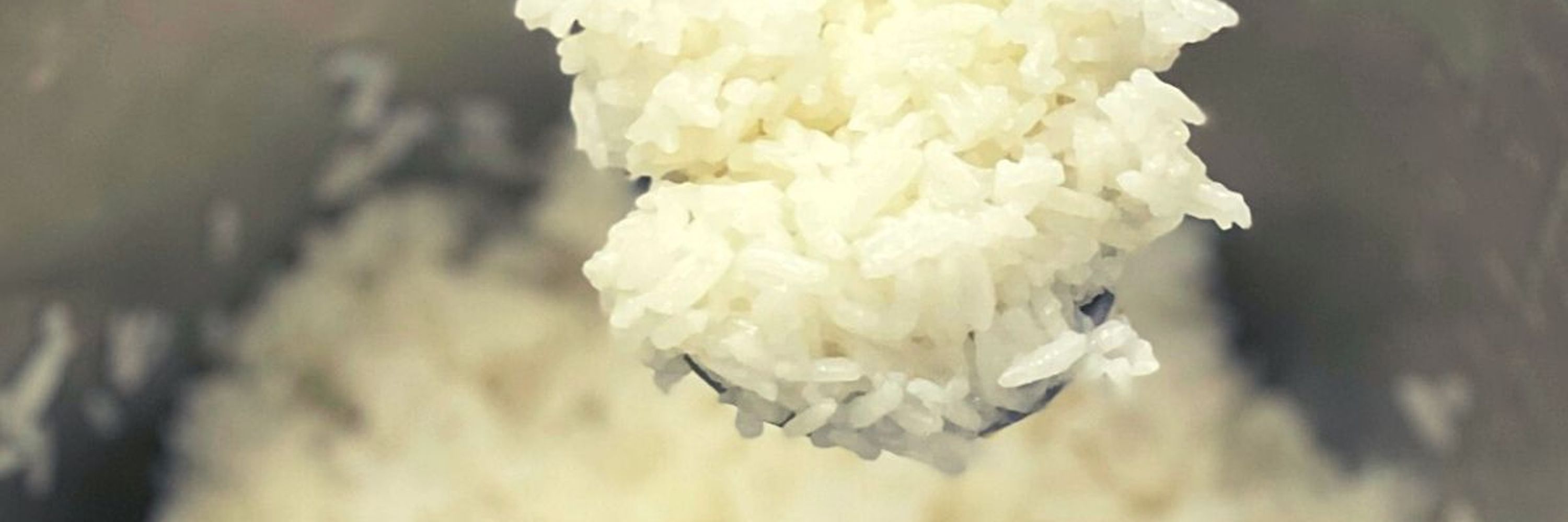 Imitation Of Rice
