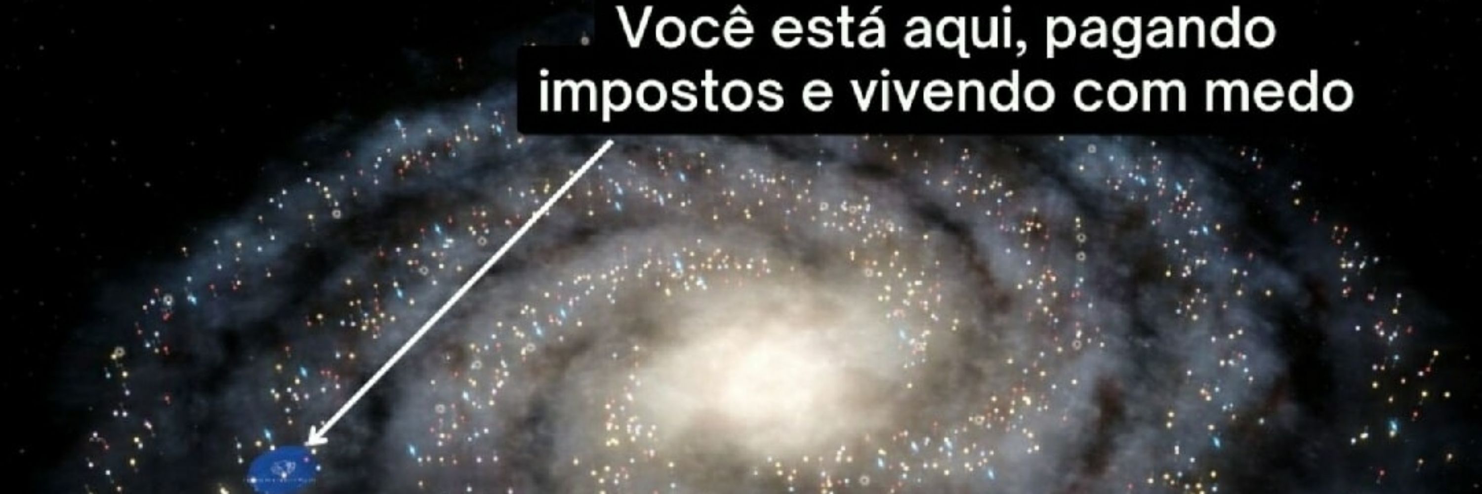 Flavinha