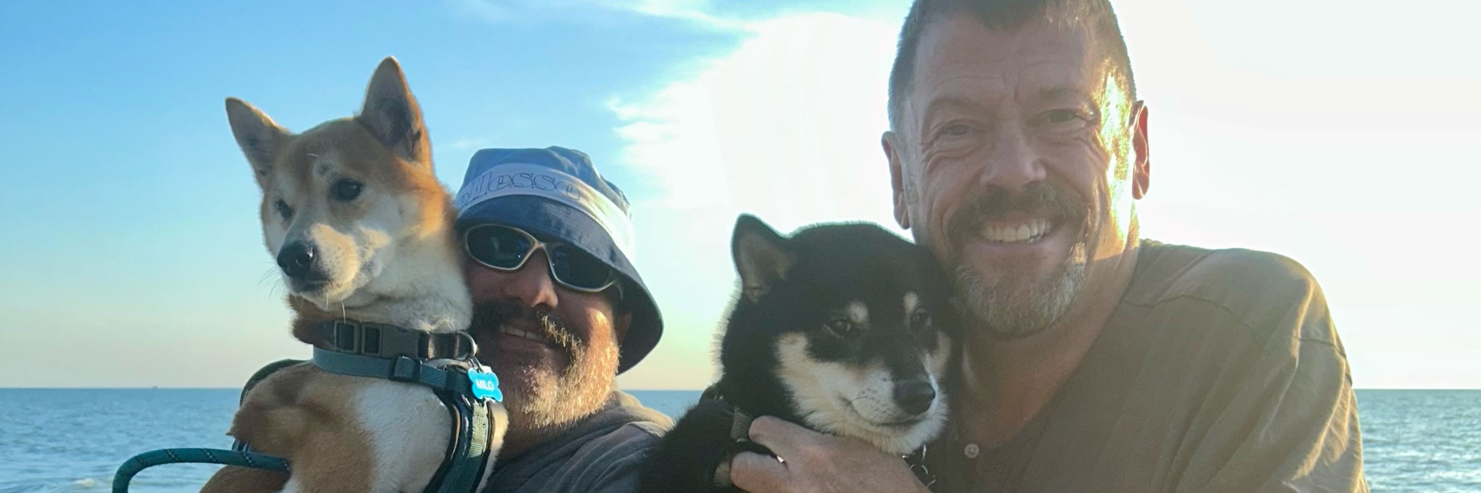Shiba Dad 💙☮️🇺🇸🏳️‍🌈🏴‍☠️