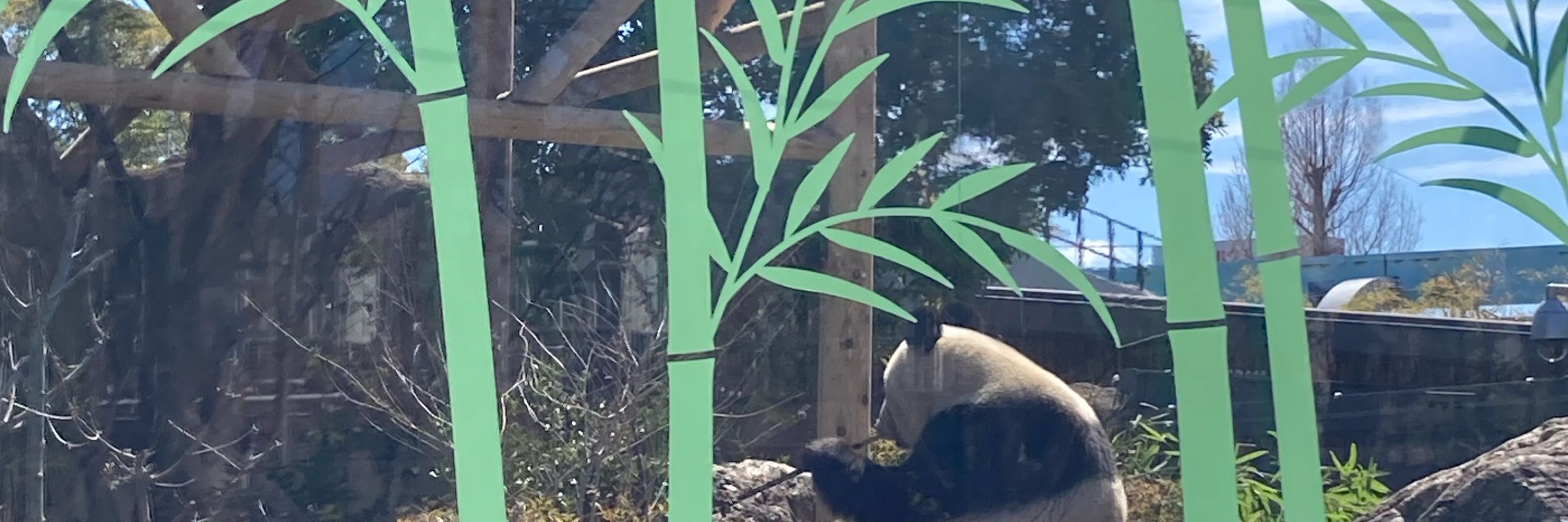 ぽもこ