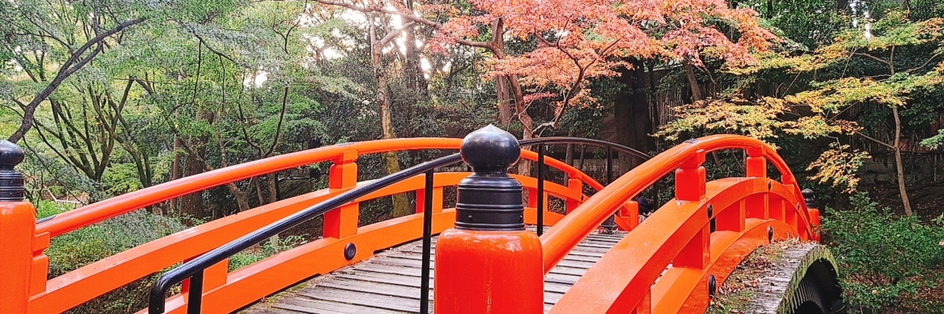 うめち丸