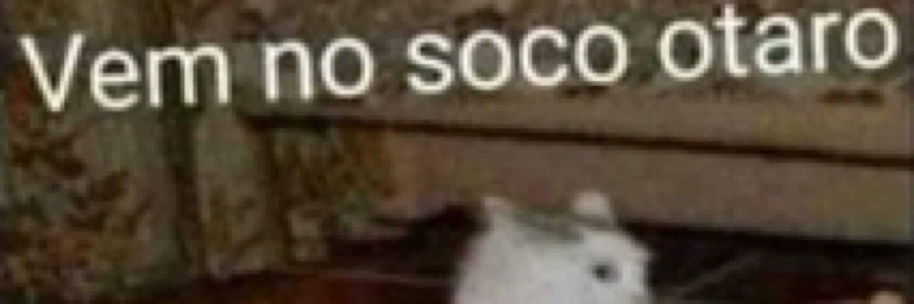 sʞɔʎu ツ