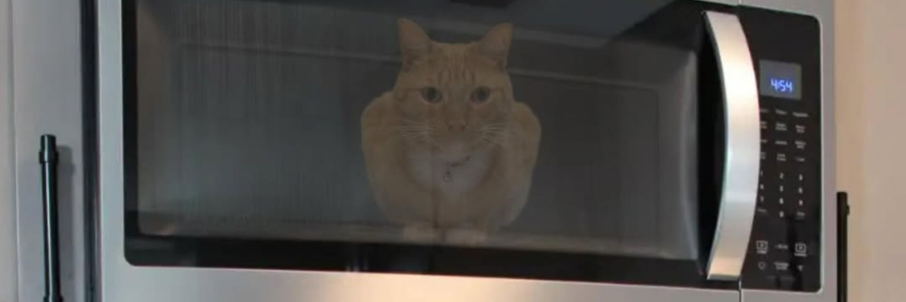 kibbycat