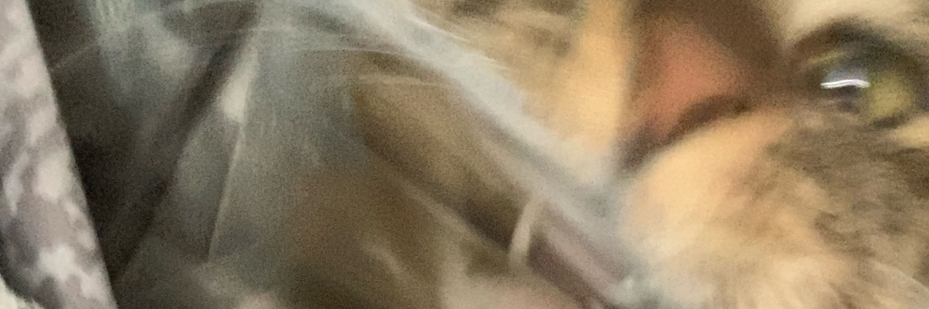 ベあ