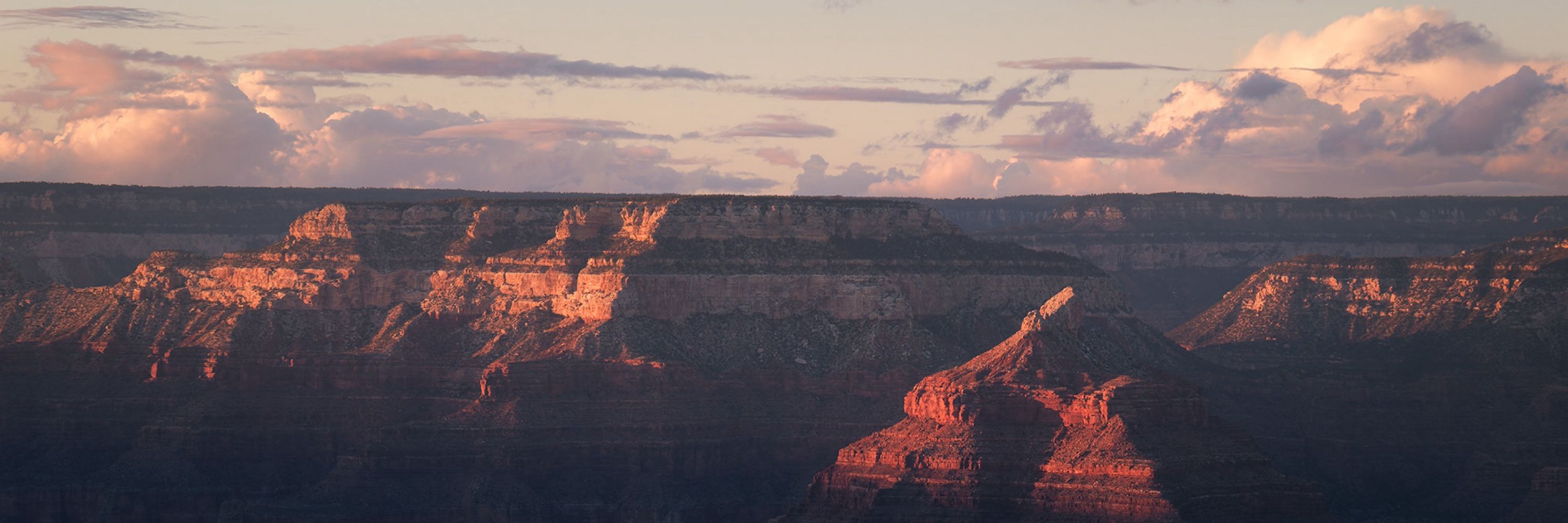 Jake Case — Mountain Tripper