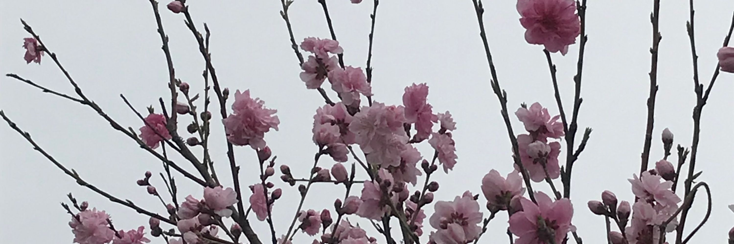 超空間